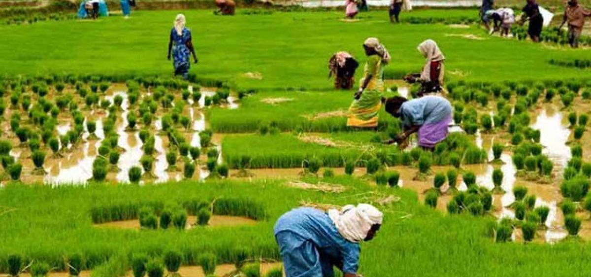The Agricultural Refinance Development Corporation (ARDC) 1