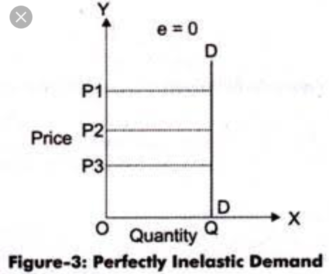 Levels or Degrees of Price Elasticity of Demand 3