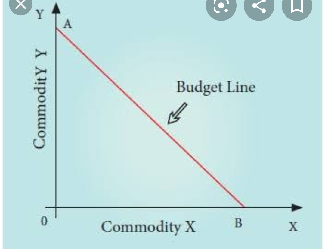 Price line or Budget line and Consumer Equilibrium and Conclusion 2