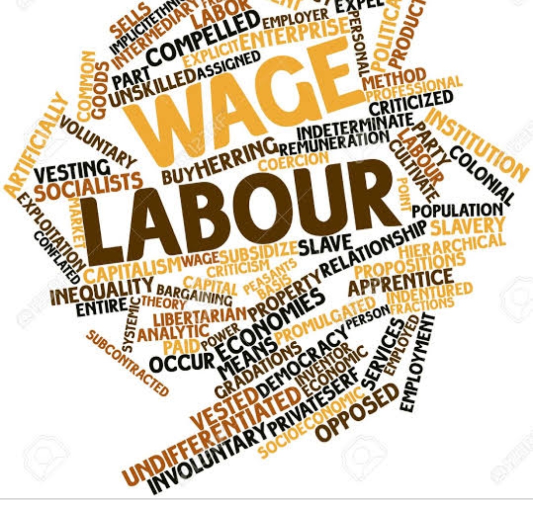 What is the meaning Of Labour.What are all the characteristics of labour 3