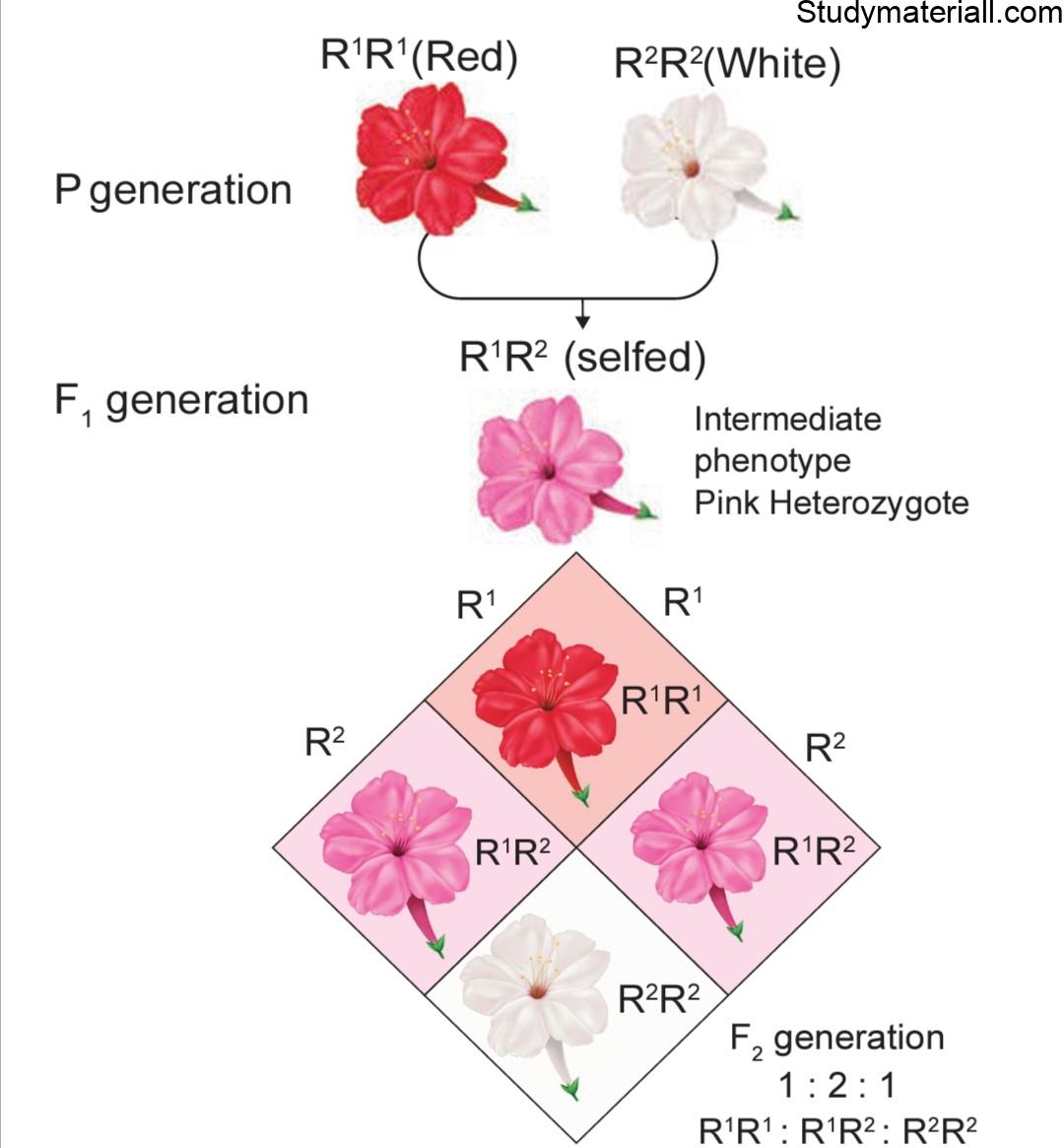 Intragenic interactions - Genes 39