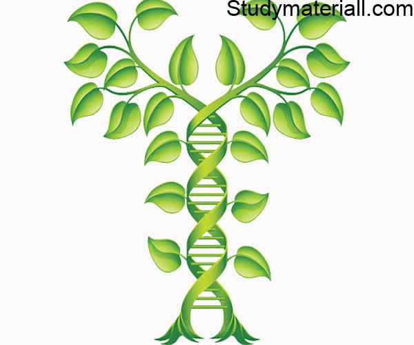 What is Genetics, what is heredity or Inheritance, heredity and Variation, types of variations 17