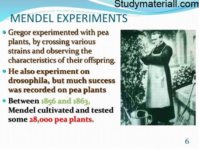 Mendel’s experiments on pea plant 10