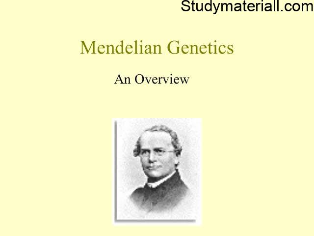 Mendel’s analytical and empirical approach 6