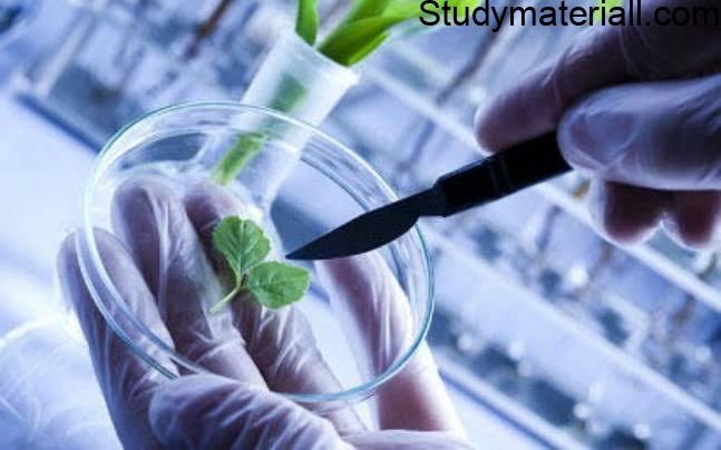 Difference Between Conventional Biotechnology and Modern Biotechnology 2