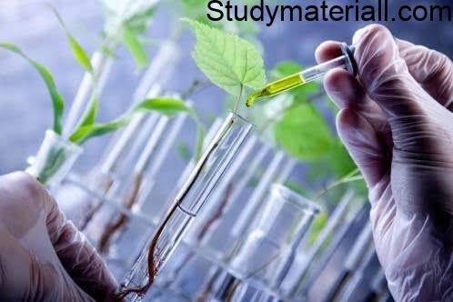 Difference Between Conventional Biotechnology and Modern Biotechnology 4