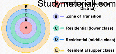 The concentric zone theory - Ernest Burgess theory,development of cities 2