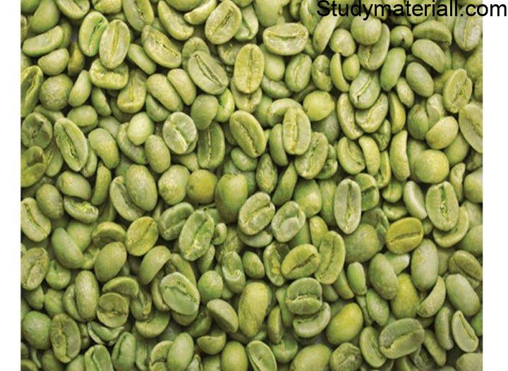 How to prepare a Coffee - Steps involved in making coffee beverage: Steps in Processing Coffee, Adulterants in Coffee, Methods of preparation of coffee Two level, Different Types of Coffee 2