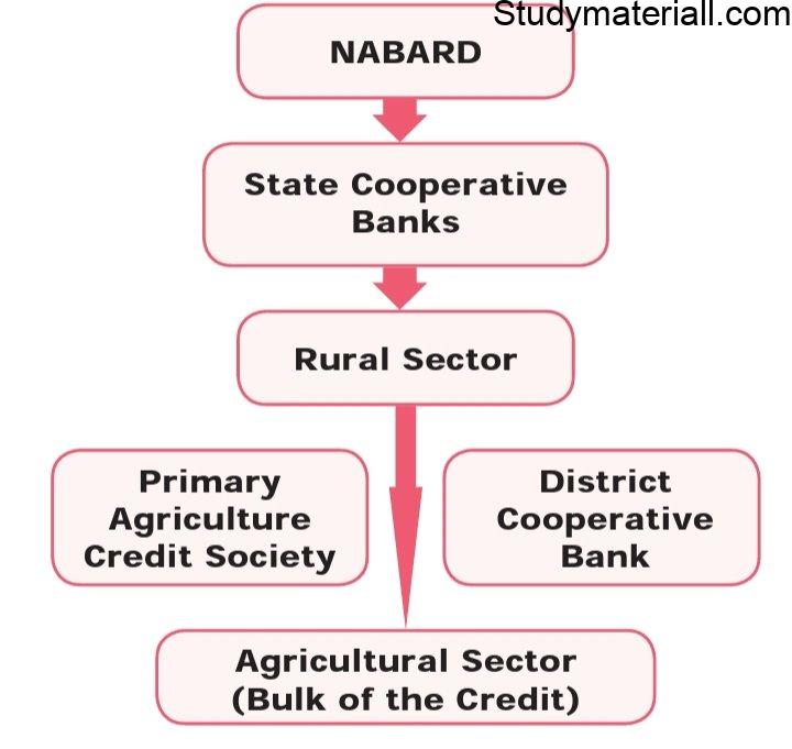 Types of MFIs in India - Joint Liability Group (JLG), Rural cooperatives, Self Help Group (SHG) - Objectives and Features 3