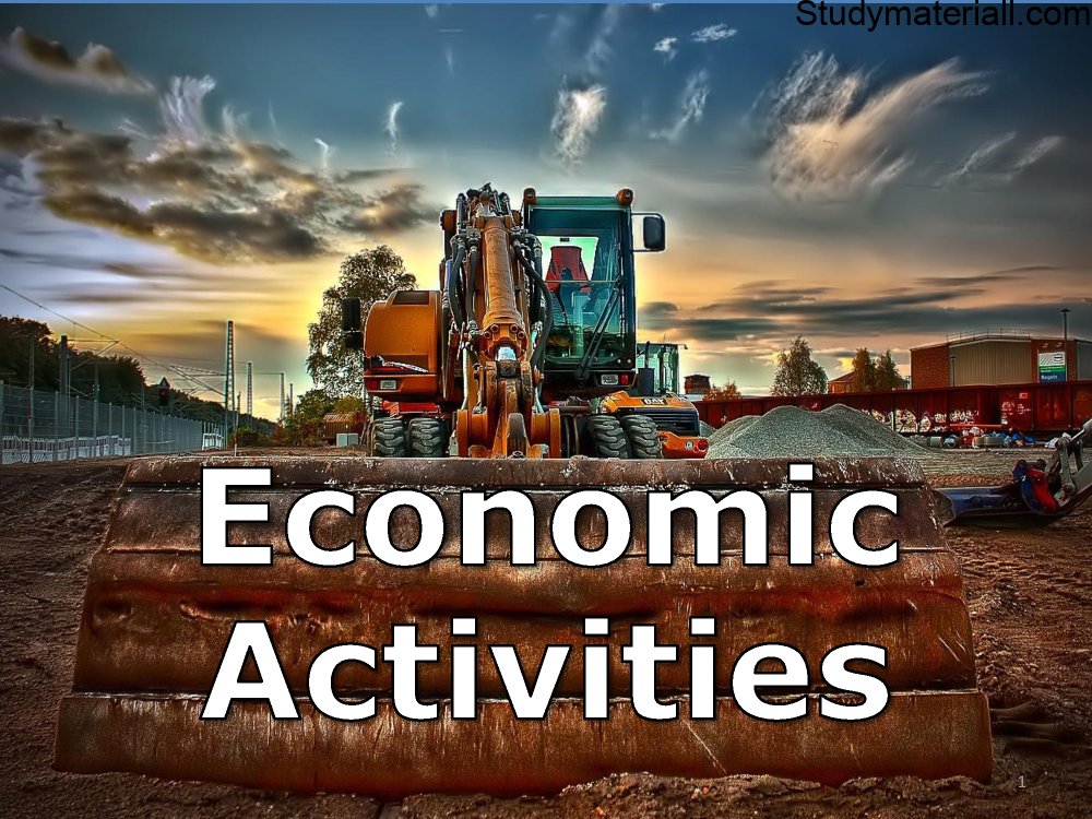 What is Economic Activities- Types of Economic system- Introduction of Economic Activities 2