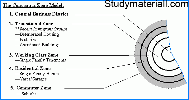 The concentric zone theory - Ernest Burgess theory,development of cities 2