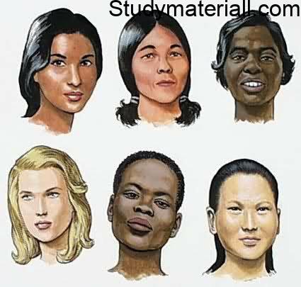 What is Races- what is Negroid- what is Caucasoid- what is Mongoloid -what is Australoid- what is Human races 5