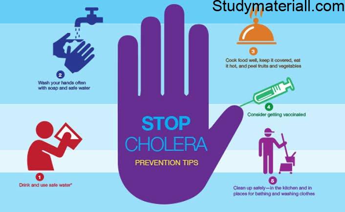 Cholera - Water Borne Disease, Symptoms of cholera, Management and Preventive Measures of cholera 2