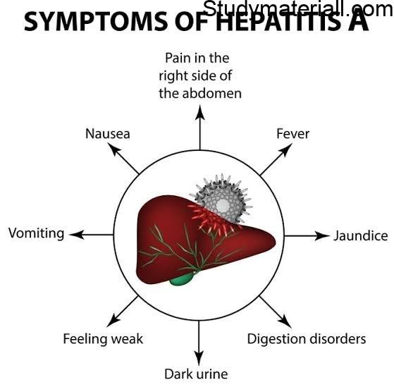 Hepatitis A, Liver infection, inflammation of liver, What is hepatitis virus,symptoms of liver infection, prevention from liver infection 3