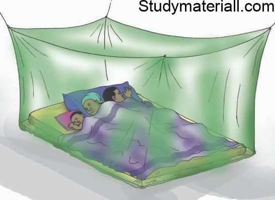 Protozoa infection - Malaria, What is Malaria, How Malaria spreading, Malaria symptoms, Preventive measures for Malaria 5