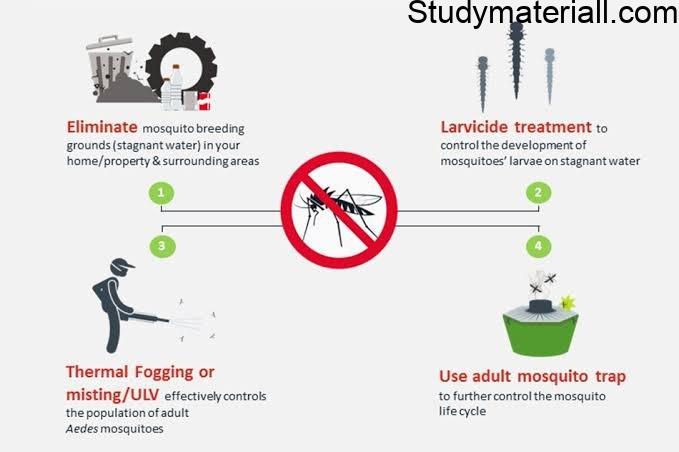 Dengue, Mosquito bite diseases, dengue fevet, dengu haemorrhagic, Symptoms of dengue, control measures of dengue 3