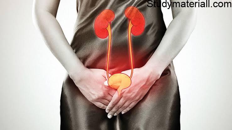 Gonorrhoea, Sexually transmitted disease, Human Sexual transmitted disease, Symptoms of Gonorrhoea, Diagnosis and Complications of gonorrhoea 42