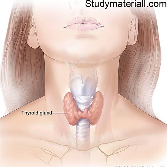 What is Hyperthyroidism, Causes of Thyroid, Signs and symptoms of thyroid, thyroid diagnosis 48