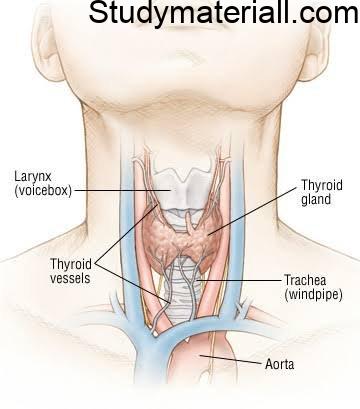 What is Hyperthyroidism, Causes of Thyroid, Signs and symptoms of thyroid, thyroid diagnosis 2