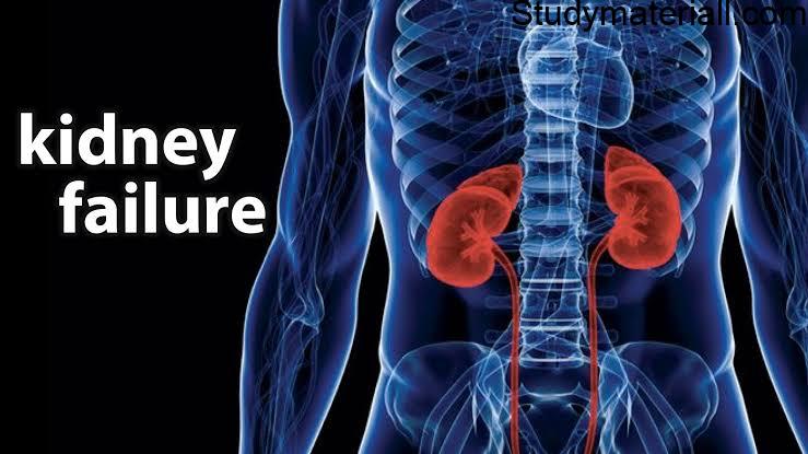 Kidney Failure, Causes of Kidney Failure, Acute Renal Failure, what causes kidney failure, Signs and symptoms of Kidney failure 9