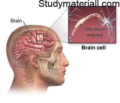 Epilepsy,Neurological disorder,Brain Illness, Causes of Neurological disorder, Symptoms of Epilepsy 2