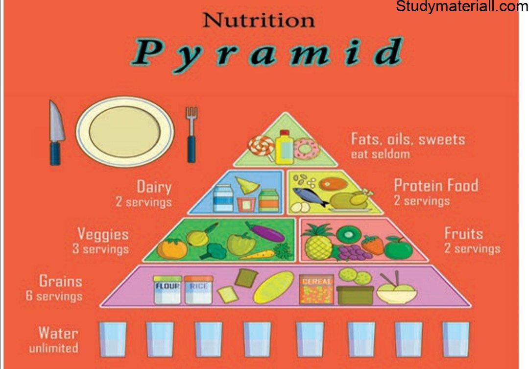 Functions of food in human body, Physiological, social, Physiological Functions of food 5