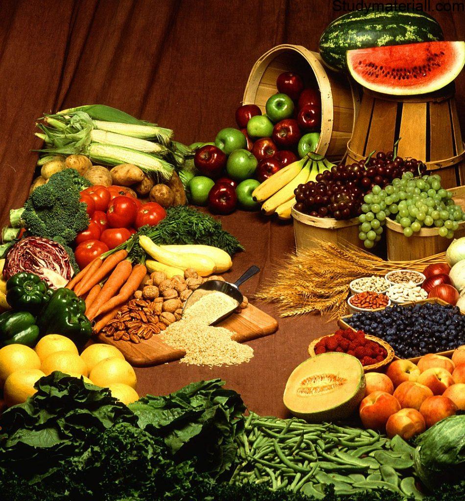 INTRODUCTION TO FOOD 26