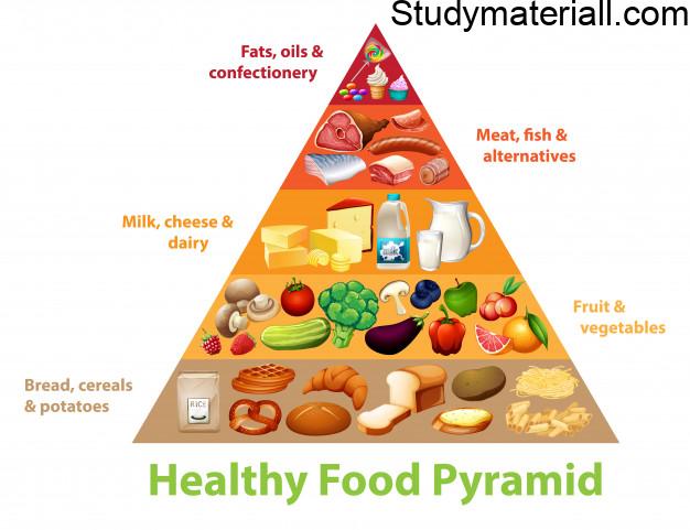 Food Pyramid- what is a food Pyramid chart 22