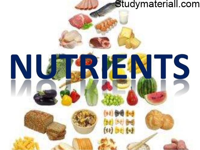 Functions of food - what is food and functions- what is Physiological functions of food - what is Body Building - what is Protective and Regulatory function 23