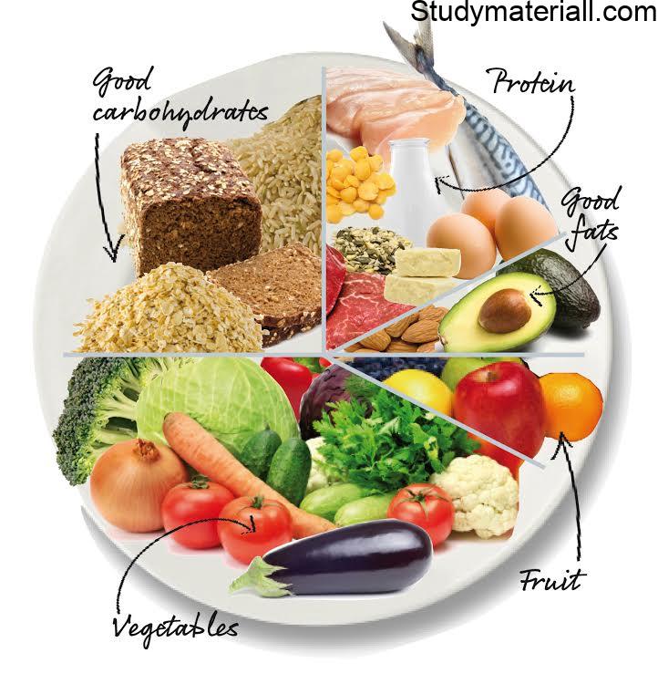 What is The Eatwell Plate- what is the 5 categories Eatwell Plate- what are the point of the Eatwell Plate what is the Eatwell guide Plate 21