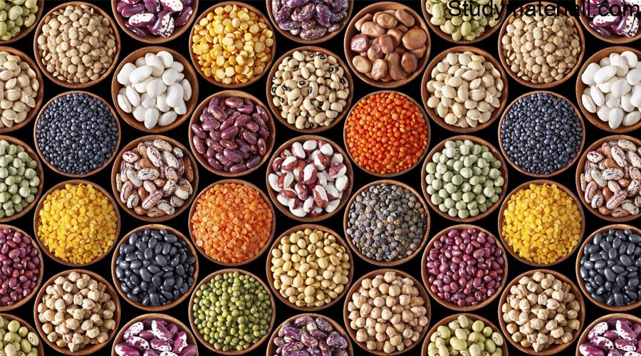 CEREALS AND PULSES- What are the cereals AND PULSES- what are cereals- what are the PULSES 9
