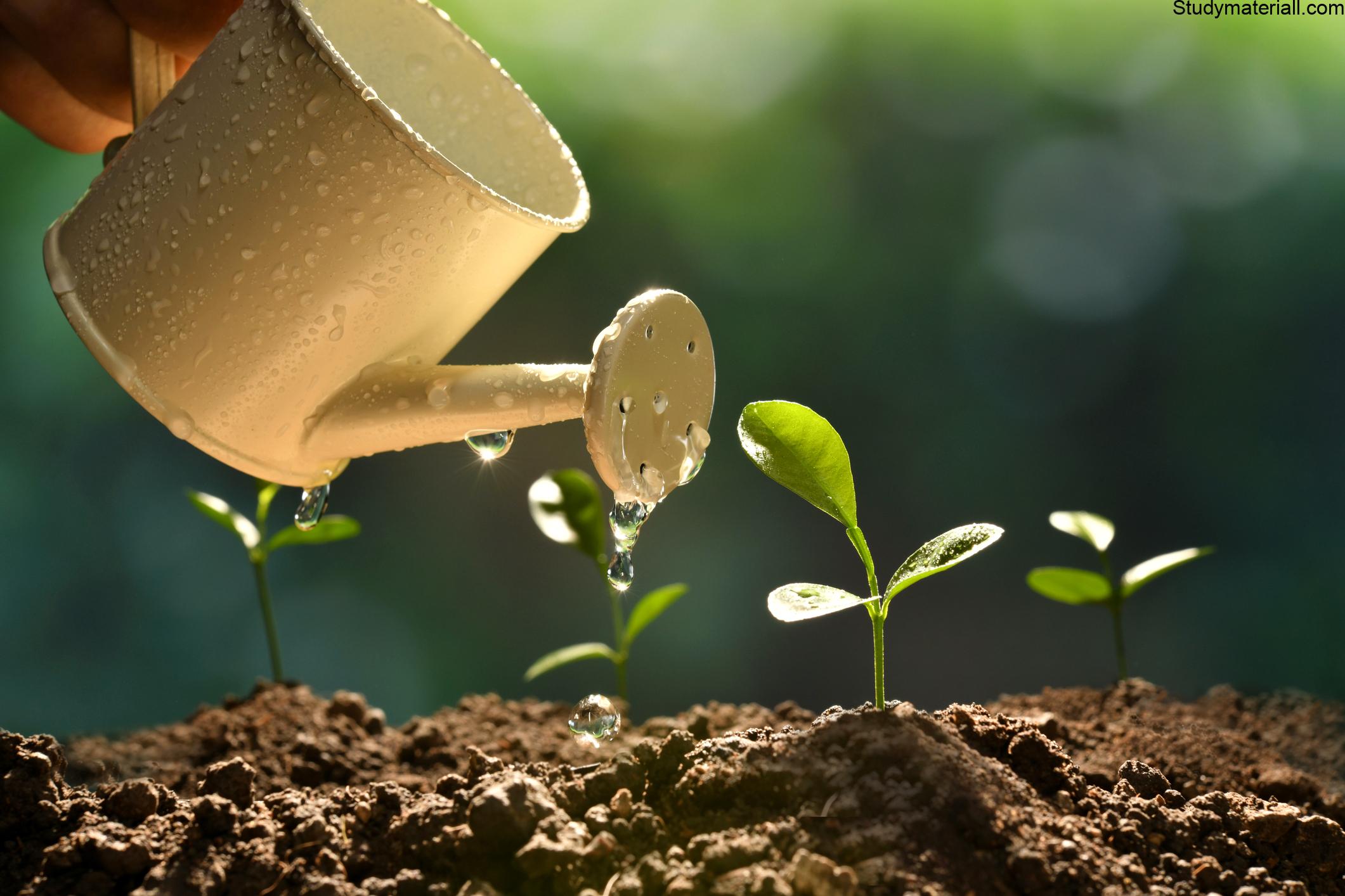 General Conditions for Cultivation of Crops- what are the conditions for growing crops - Increase in productivity and profitability can be achieved through 16