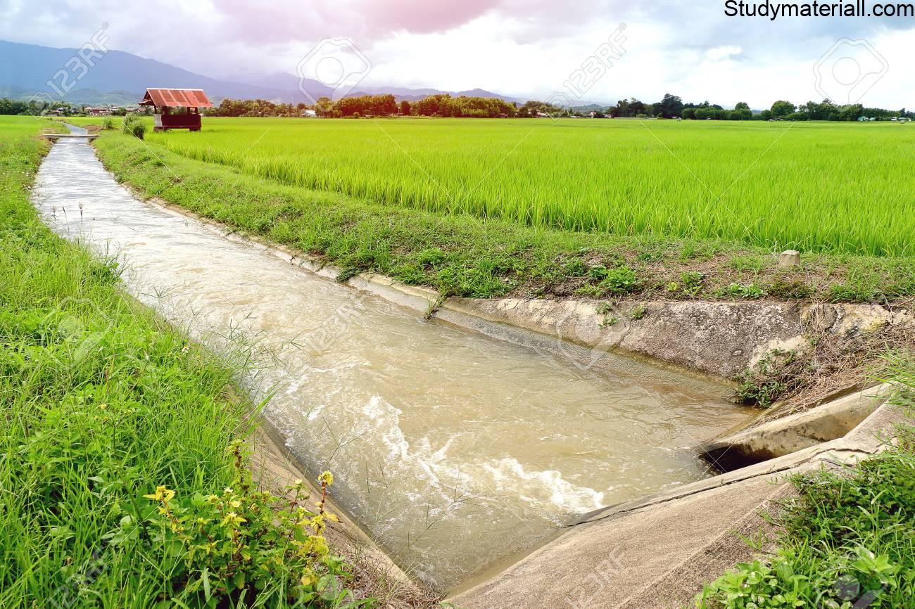 Various methods can be used to supply irrigation- what is water to the plants- what is Surface Irrigation- what is Basin Irrigation- what is Maintenance of basins- what is Advantages of furrow irrigation 7