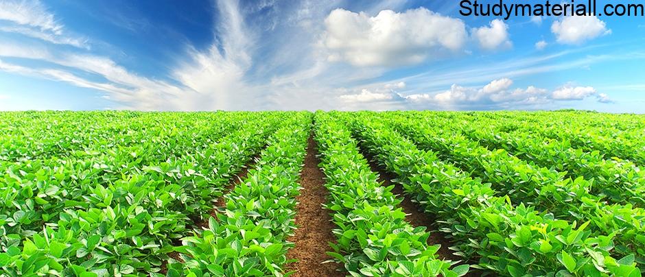 Cropping systems- what is Cropping systems- what is Sequential cropping system- what is Intercropping System- what is Alley cropping- what is Season based cropping system- what is Mixed cropping 1