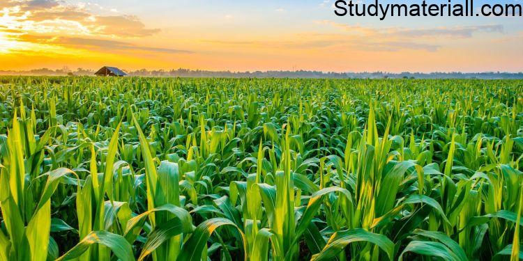 Soil conditionsFactors influencing decisions on the selection of crops and cropping system- what is climatic factors - Soil conditions- Cropping system options- Past and present experiences of farmers- Expected profit and risk - Economic conditions of farmers including land holding - 15