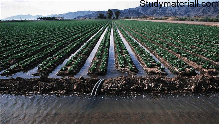 Furrow irrigation- what is Furrow irrigation- what is Advantages of furrow irrigation- what is Sprinkler irrigation- what is furrow irrigation Advantages 6