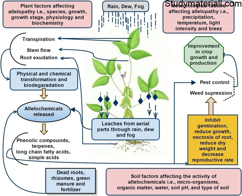 Soil conditionsFactors influencing decisions on the selection of crops and cropping system- what is climatic factors - Soil conditions- Cropping system options- Past and present experiences of farmers- Expected profit and risk - Economic conditions of farmers including land holding - 2