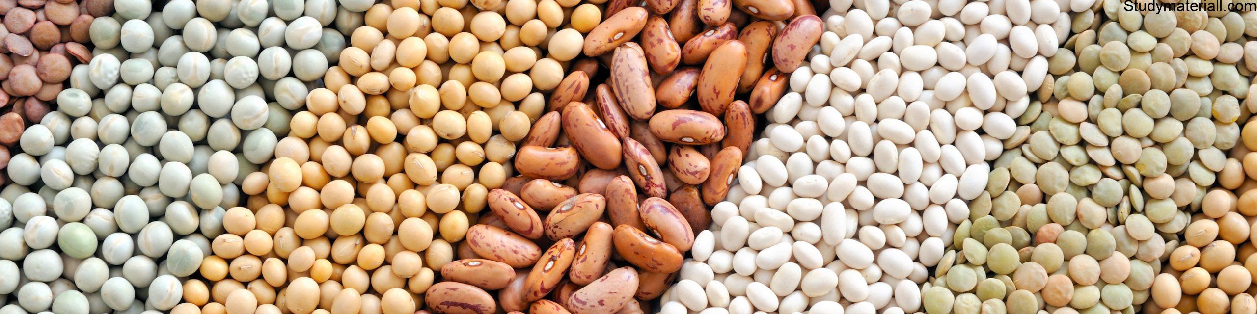 Seed treatment - what is seed treatment - what is meant by seed treatment- what are the type of seed treatment - How is seed treatment done- what is seed dressing in agriculture - what is uses in dressing of seeds - what is Seed coating- what is Seed pelleting 2