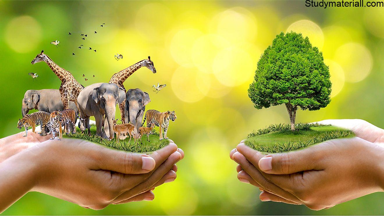 Conservation- what is important Soil conservative- what is Conservation farming- what is Vegetation and vegetative management- what is Best practices to control soil blowing- what is Shelterbelts for moderating microclimate- what is Overland flow management- what is Zero tillage- World nurture Conservation day 9