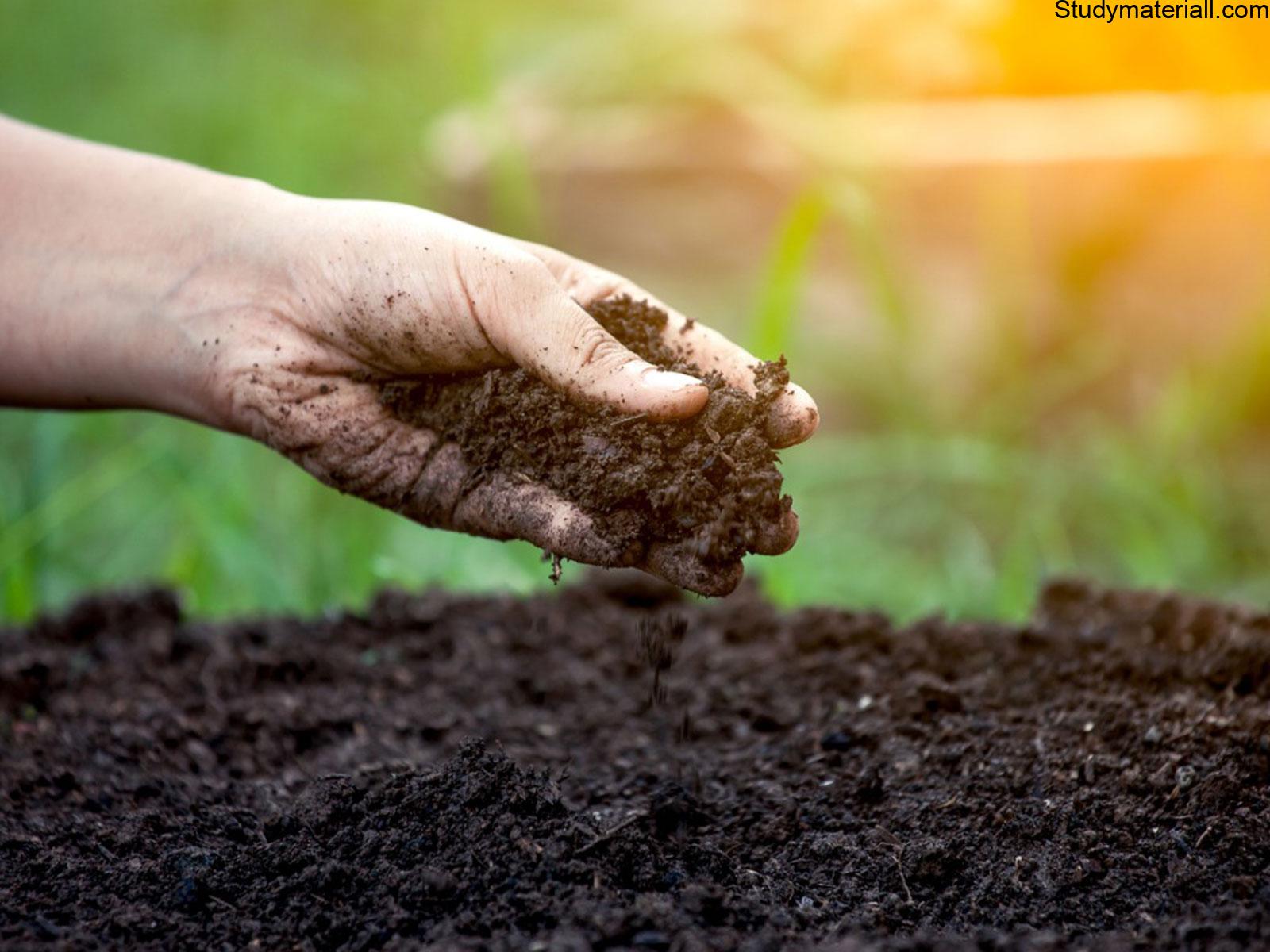 Change in pest and disease scenario due to climate change- How does climate change affect pests and disease- what is impact of climate change on pests - How do you think climate change will affect pests disease and weeks 3